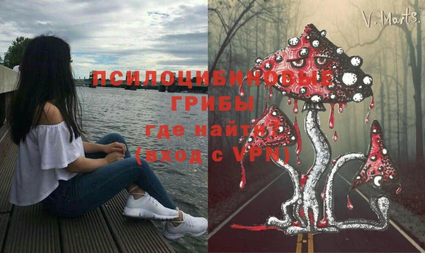 амф Богородск