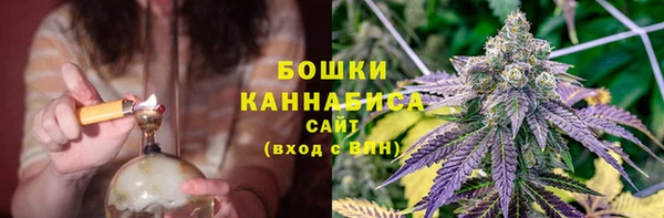амф Богородск