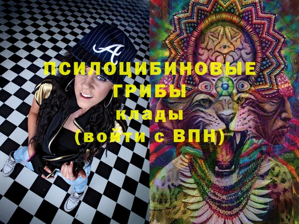 MDMA Premium VHQ Богородицк