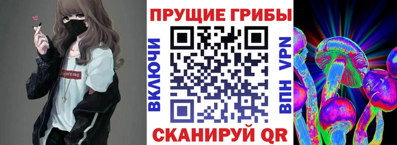 Галлюциногенные грибы Psilocybine cubensis  Свободный 